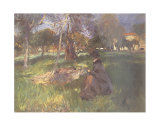 In an Orchard