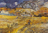 Landscape in St Remy  c1898