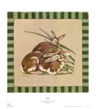 Rabbits