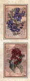 Antique Flowers II