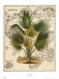 Global View I