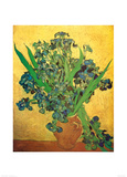 Vase of Irises Against a Yellow Background  c1890
