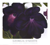 Black and Purple Petunias