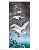 White Birds in Snow