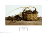 Pine Cones and Rose Berries