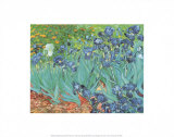 Irises  Saint-Remy  c1889