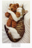Cat's Pet