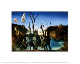 Swans Reflecting Elephants  c1937
