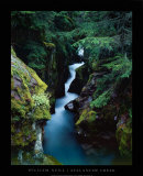 Avalanche Creek