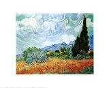 Yellow Wheat and Cypresses