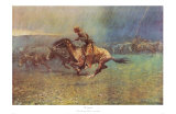 Stampede