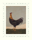 Rooster Facing West