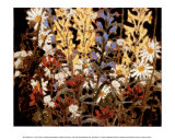 Wildflowers