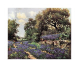 Blue Bonnet Trail