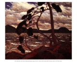 West Wind
