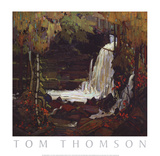 Woodland Waterfall