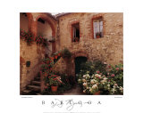 Hydrangea Courtyard San Felice