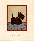 Scottish Terrier