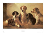 Hounds