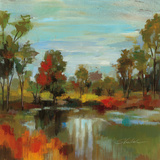 Hidden Pond Hues I