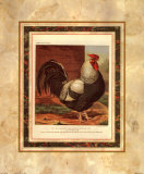 Rose-Combed Dorking Cock