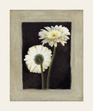 Flora II