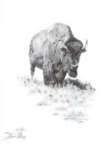 Mother Buffalo (LE)