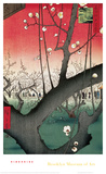 Plum Garden over Shin-Ohashi Bridge