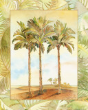 Palm Tree IV