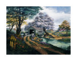 Country Reflections