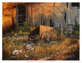 Abandoned Beauty