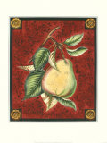 Poire D'Arenburg