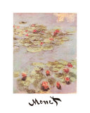 Red Water Lilies