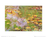 Water Lily Pond at Giverny