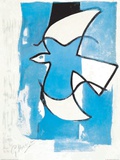L'Oiseaux Bleu et Gris