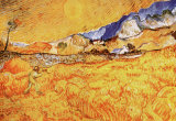 The Harvester