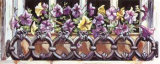 Window Petunias