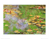Water Lily Pond at Giverny