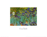 Irises  Saint-Remy  c1889