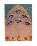 Cornflowers