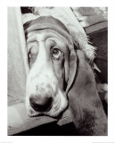 Sorrowful Jones
