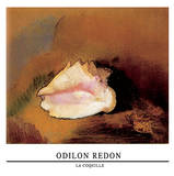 Coquille