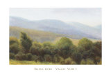 Valley View I