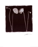 Two Flowers and Two Buds