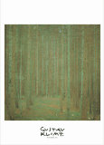 The Pine Forest