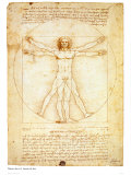 Vitruvian Man  c1492