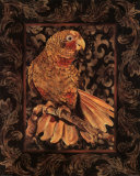 Golden Parrot I