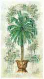 Estudio De Palmeras II