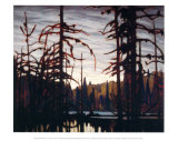 Beaver Swamp