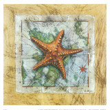 Sea Start